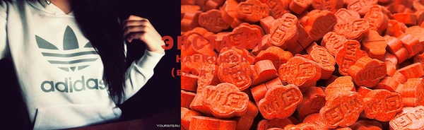 ECSTASY Верея