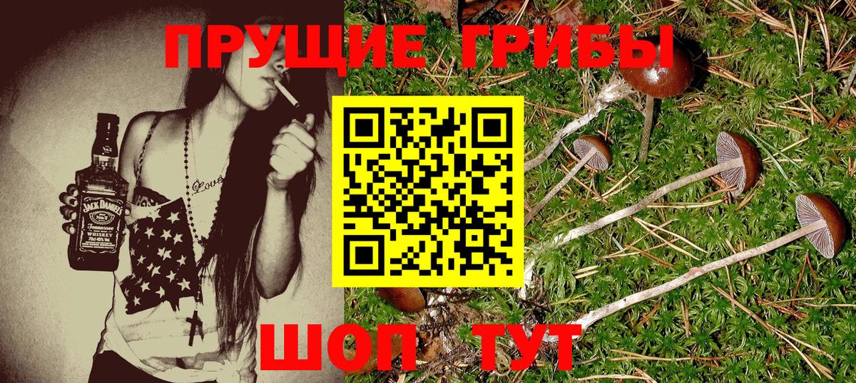 Псилоцибиновые грибы Cubensis  Вход с VPN  Галлюциногенные грибы мухоморы  Долгопрудный 
