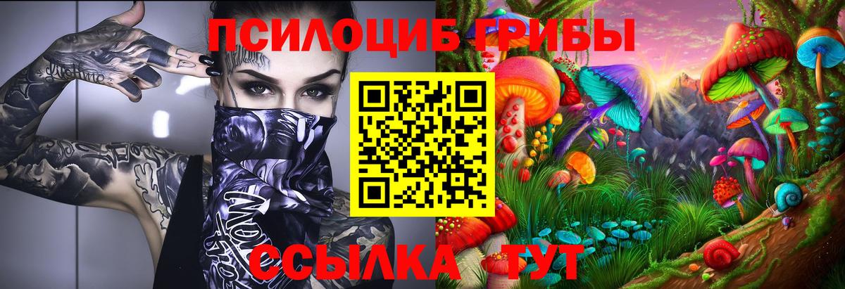 Псилоцибиновые грибы Magic Shrooms  Долгопрудный 