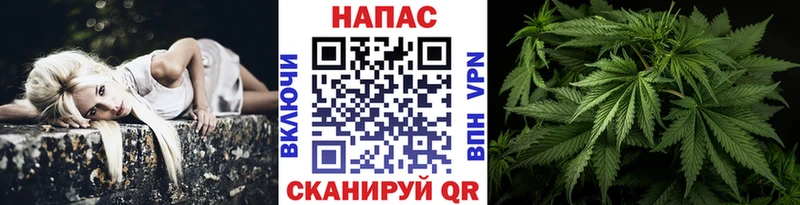 Купить где  Долгопрудный  МАРИХУАНА конопля 
